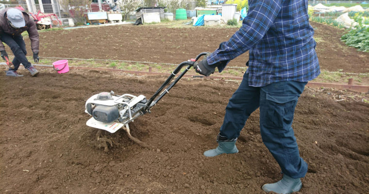 野菜作りのすすめ