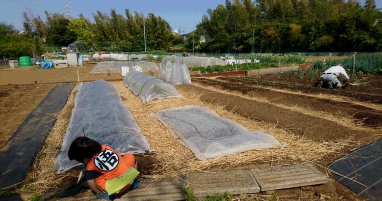 畑　ちゃくちゃくと。