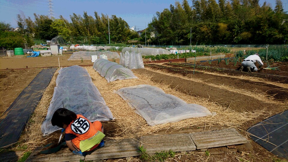 畑　ちゃくちゃくと。